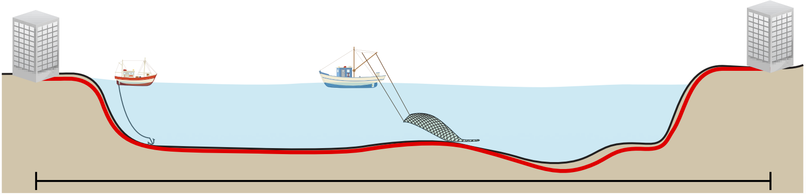 Submarine Cable Damage Causes