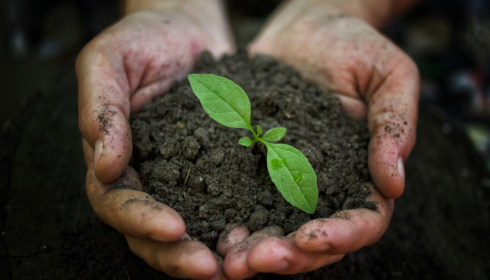 exfo_corporate_social-responsibility_environment.jpg