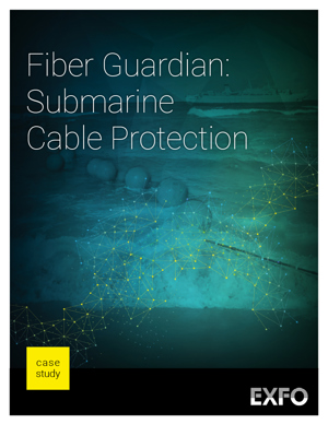 snippet_cstudy017_submarine-cable-protection_v2_en-1.jpg