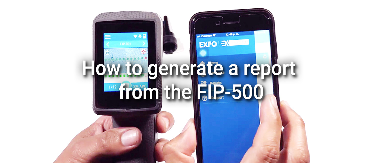 How to generate a report from the FIP-500