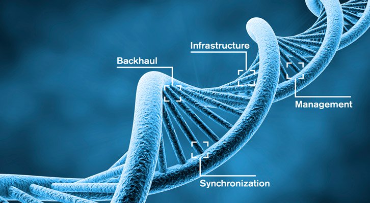 Sequencing small cells to facilitate network deployment success